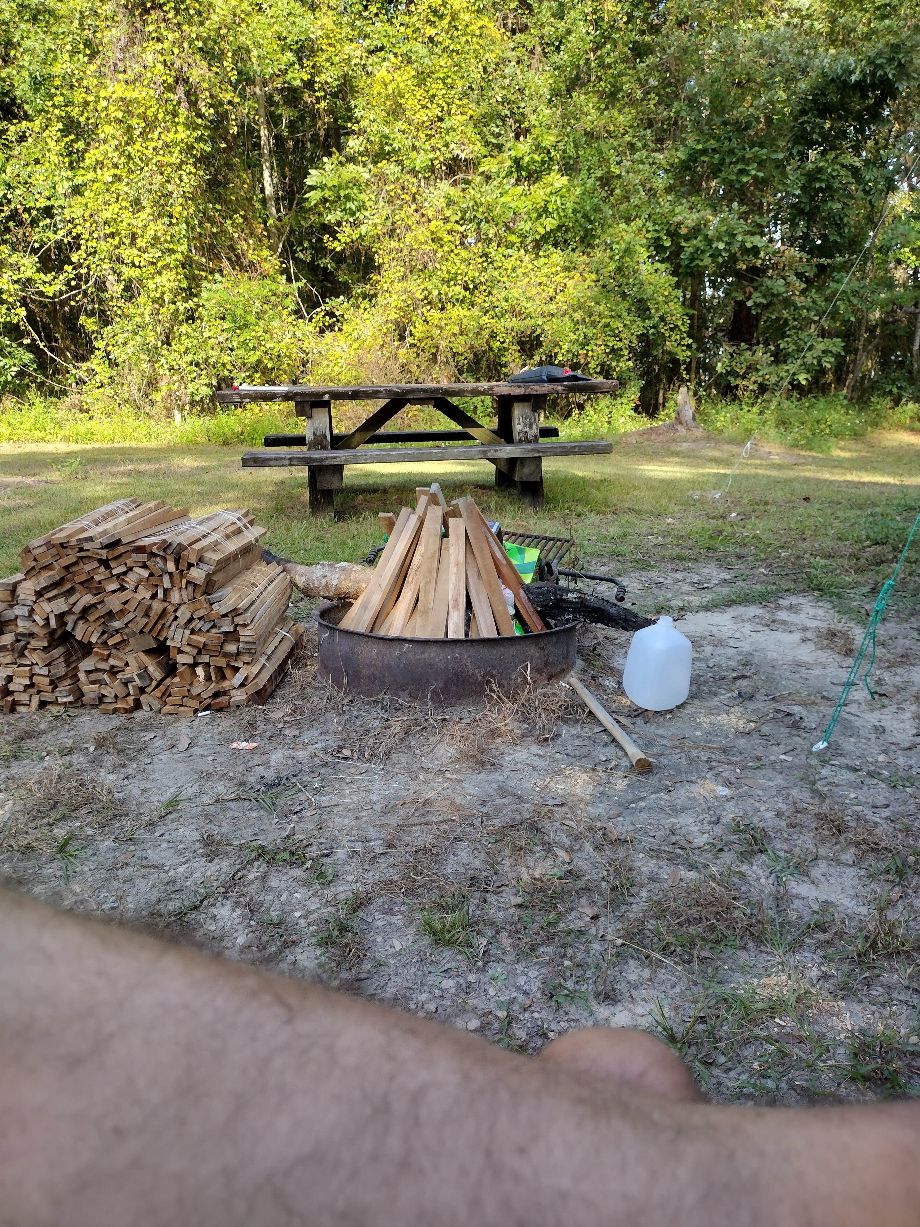 Camper submitted image from High Bluff - Joe Budd WMA and Lake Talquin State Forest - 4