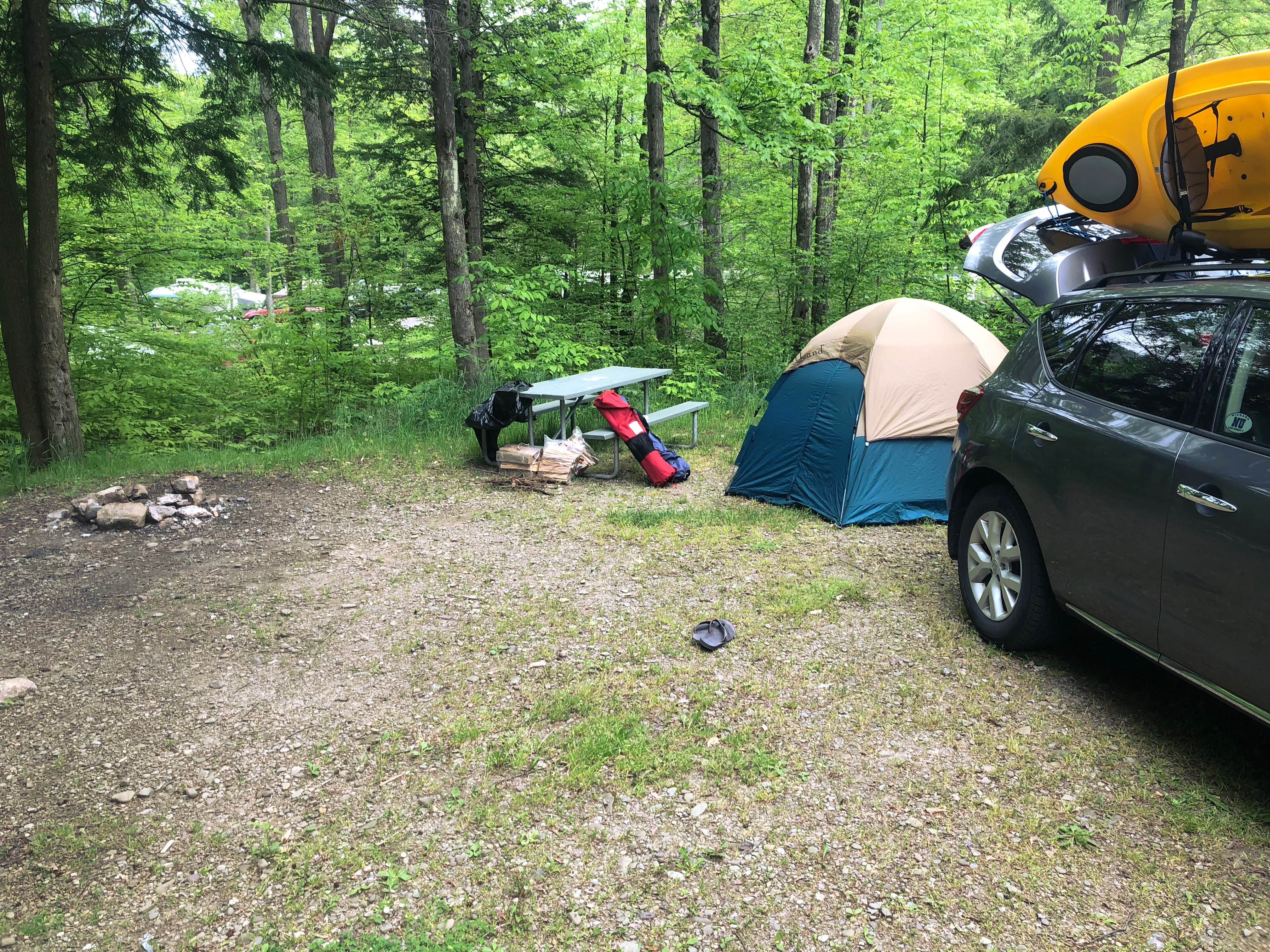 Camper submitted image from Red House Area — Allegany State Park State Park - 3