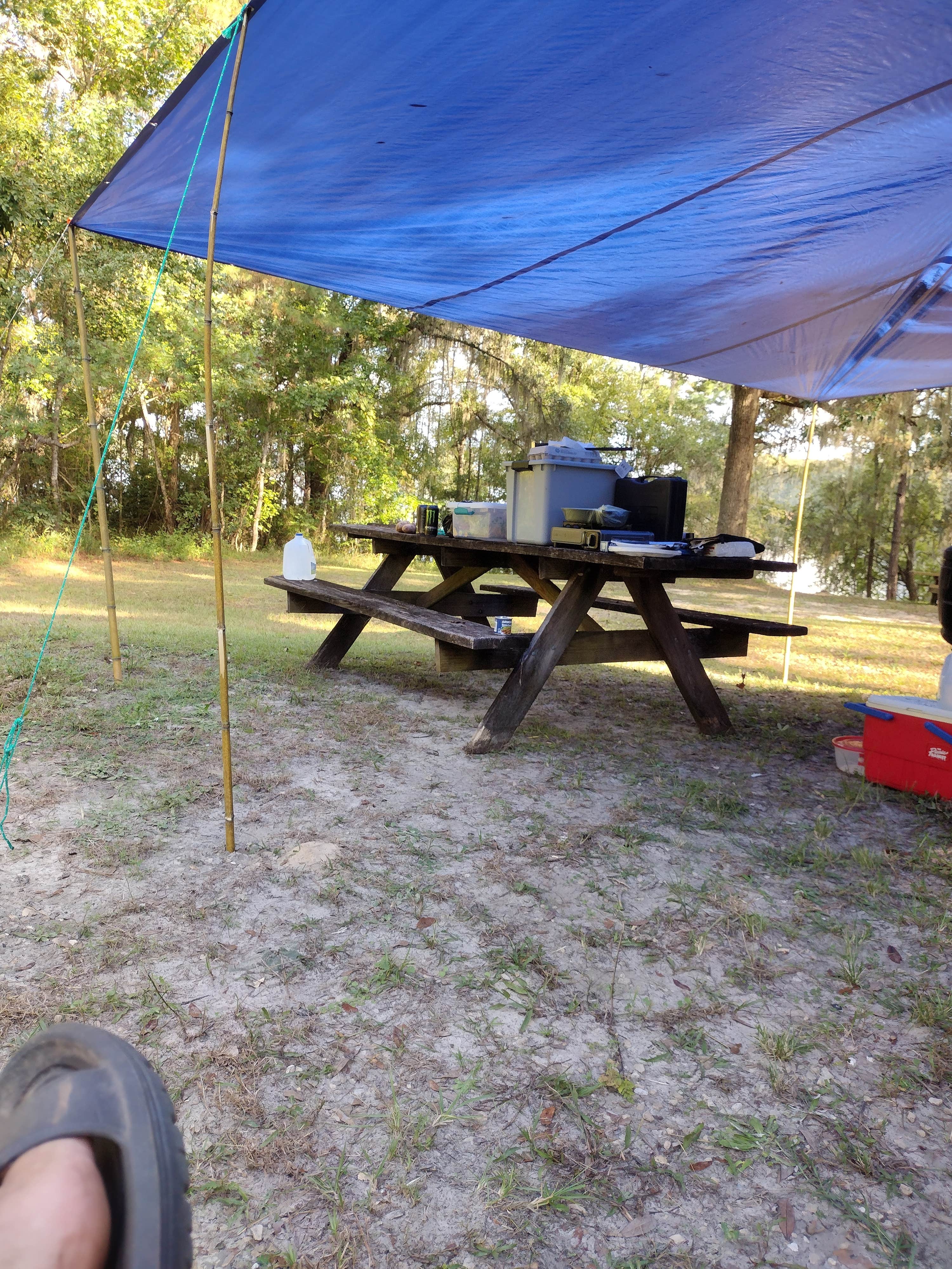 Adam W.'s photo at High Bluff Campground — Joe Budd WMA and Lake Talquin State Forest near Wacissa, FL
