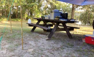Adam W.'s photo at High Bluff Campground — Joe Budd WMA and Lake Talquin State Forest near Woodville, FL
