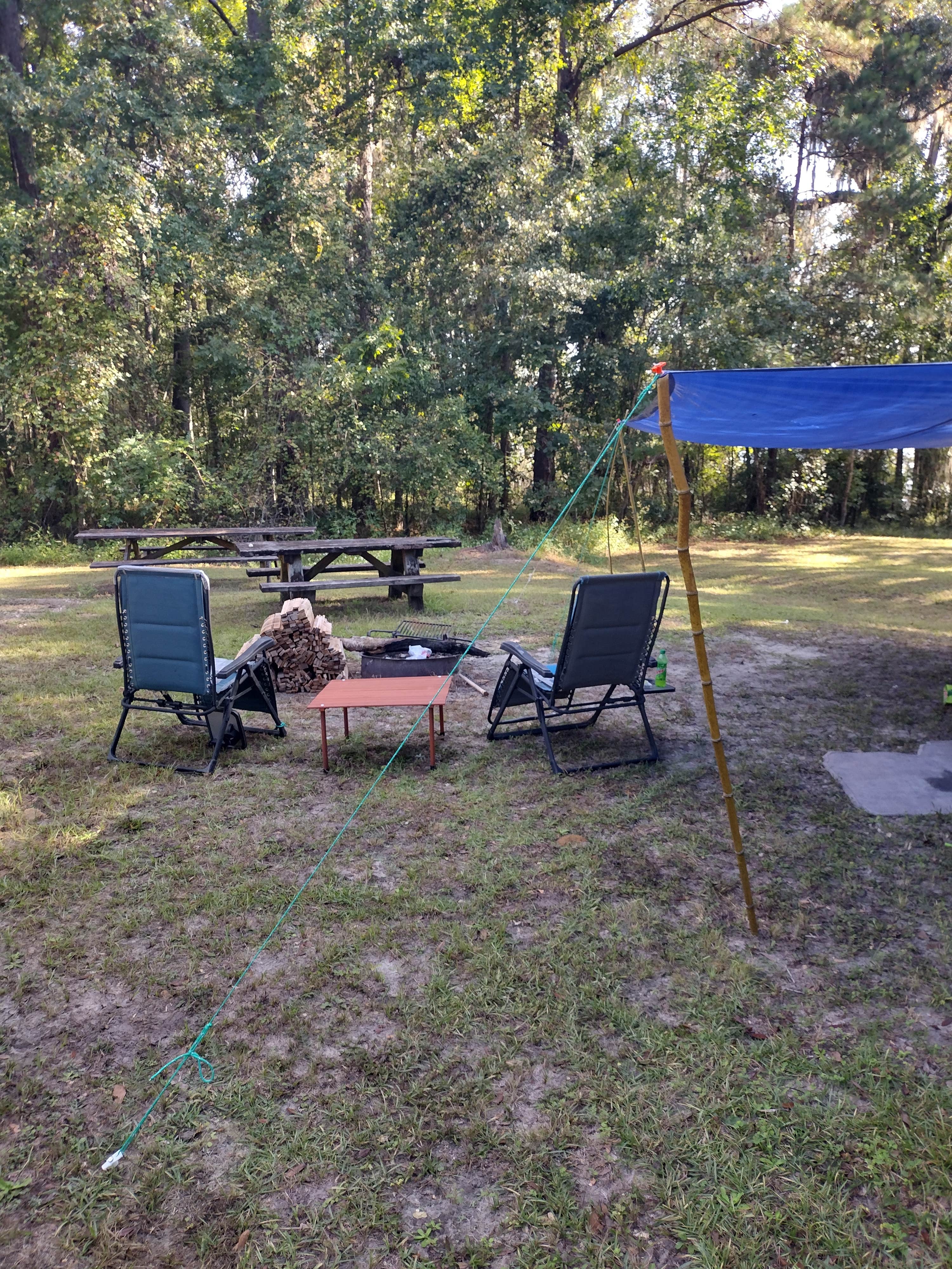 Camper submitted image from High Bluff - Joe Budd WMA and Lake Talquin State Forest - 3