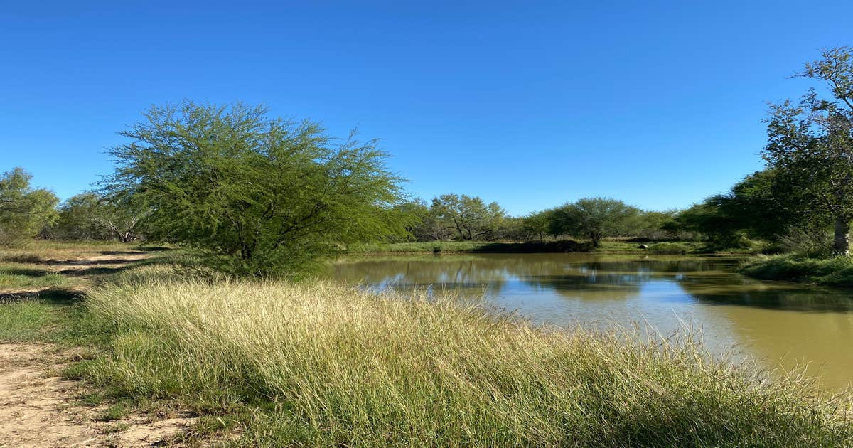 Cotulla Fish Hatchery & RV Park | Laredo, TX