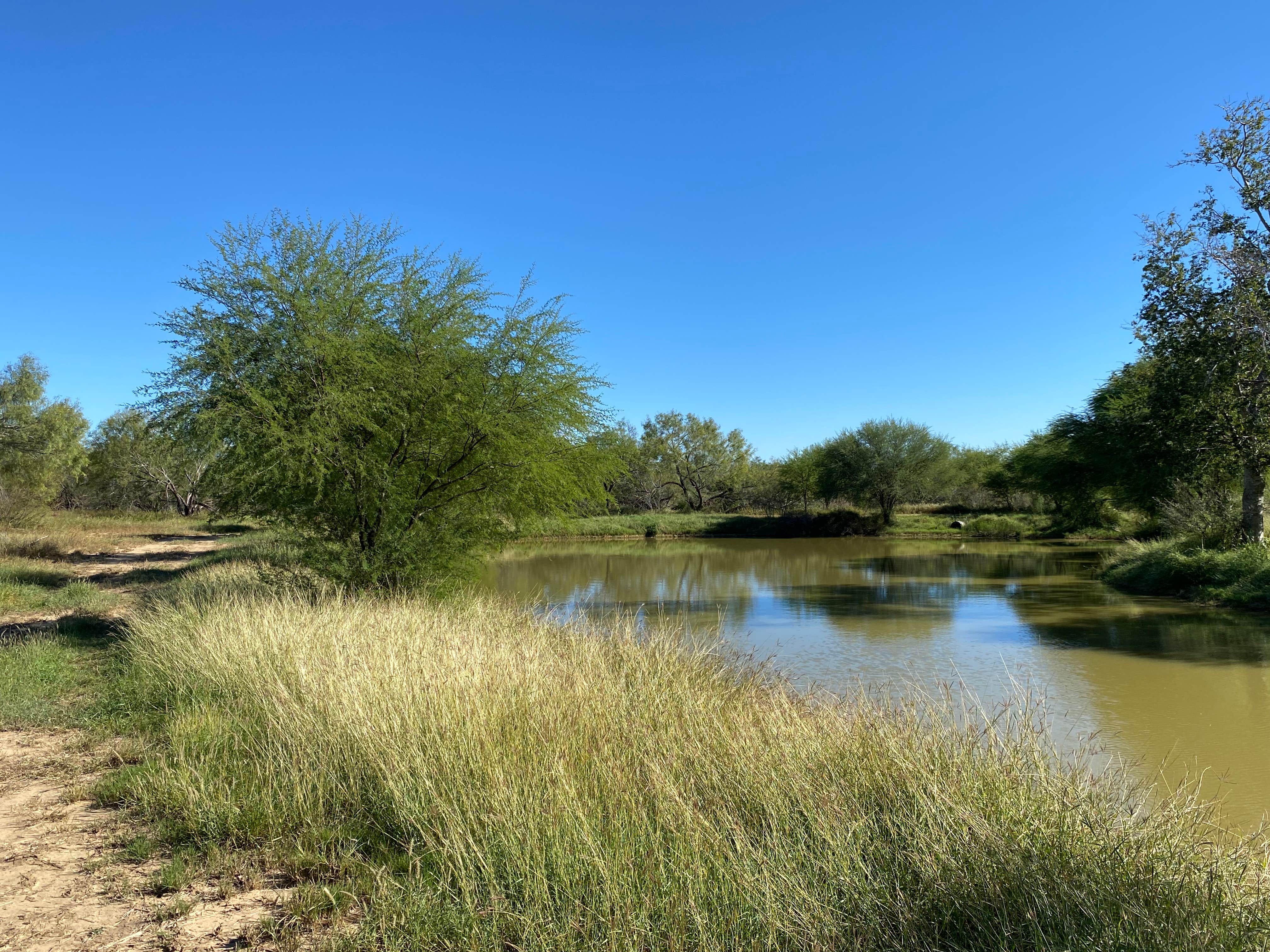 Camper submitted image from Cotulla Fish Hatchery & RV Park - 1