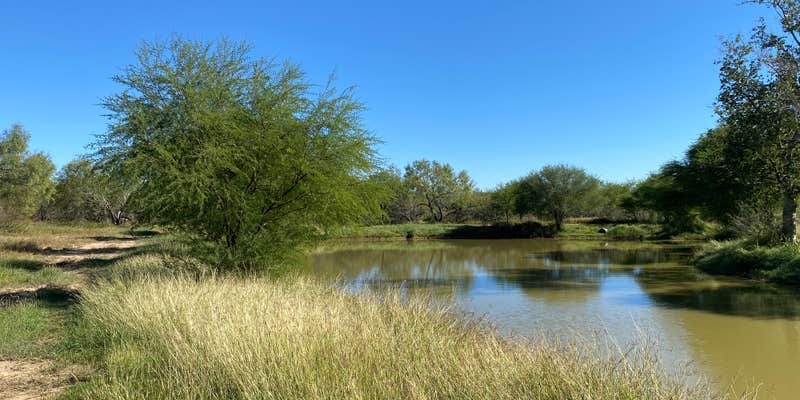 Camper submitted image from Cotulla Fish Hatchery & RV Park