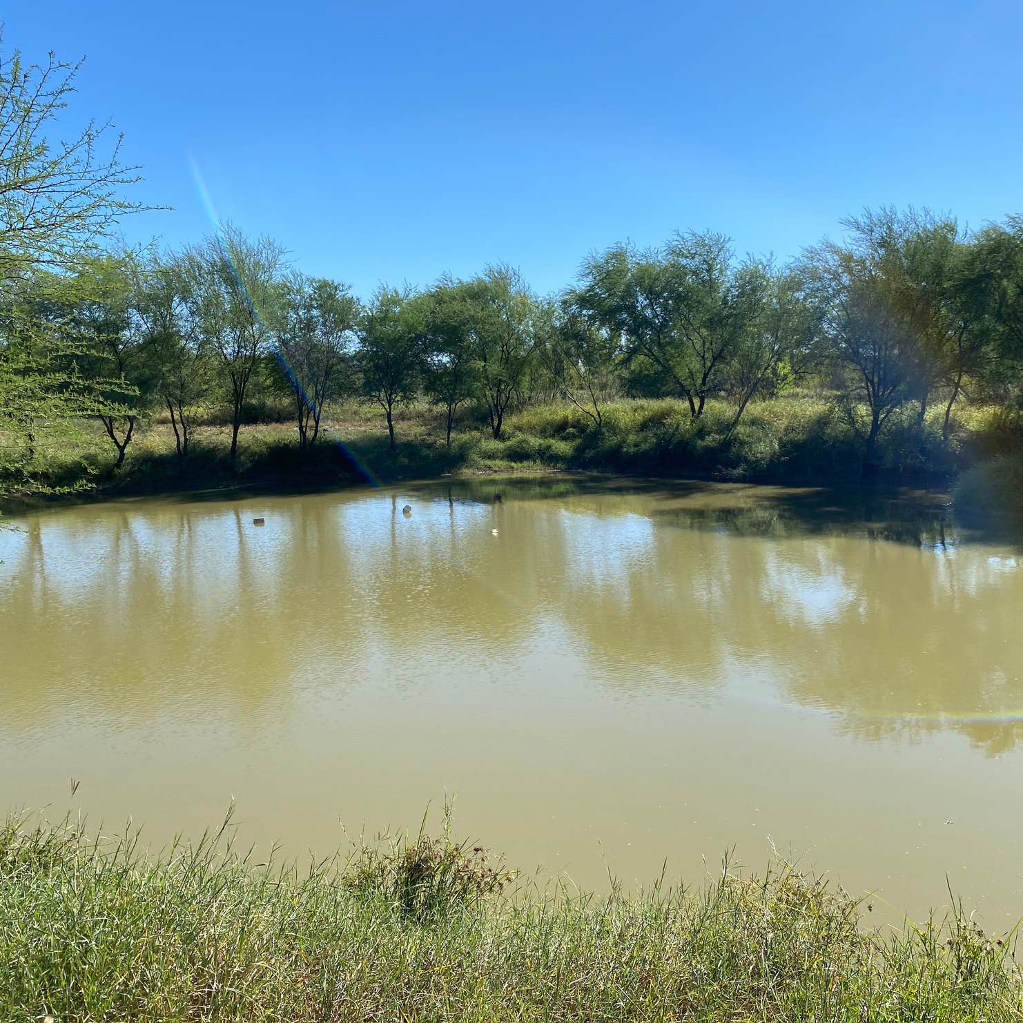Cotulla Fish Hatchery & RV Park Laredo, TX
