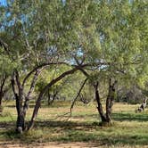 Review photo of Cotulla Fish Hatchery & RV Park by Tracy G., October 30, 2021