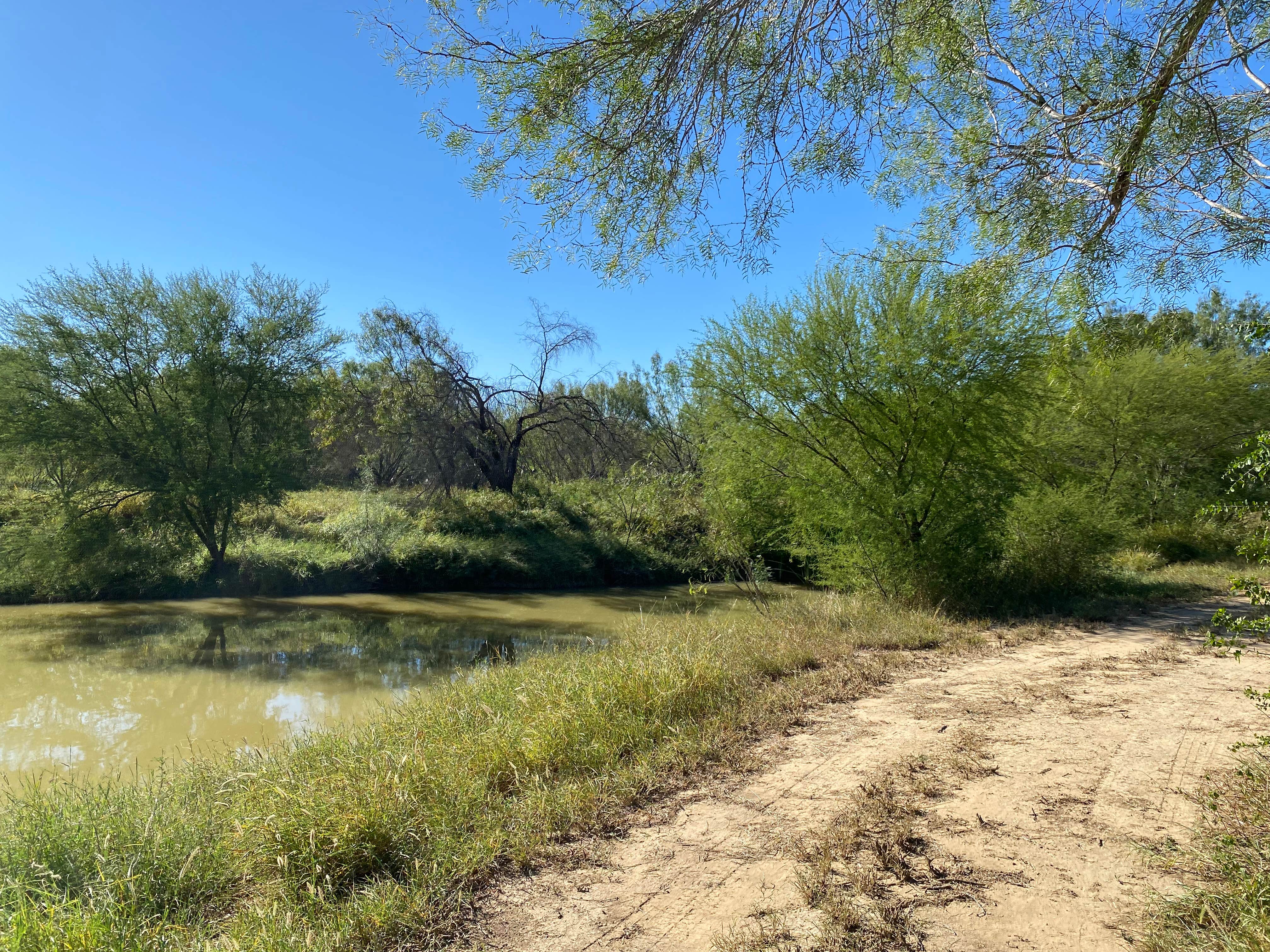 Camper submitted image from Cotulla Fish Hatchery & RV Park - 3