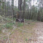 Review photo of Bogue Chitto State Park Campground by Tyler H., October 30, 2021