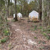 Review photo of Bogue Chitto State Park Campground by Tyler H., October 30, 2021