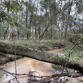 Review photo of Bogue Chitto Water Park by Tyler H., October 30, 2021