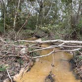 Review photo of Bogue Chitto Water Park by Tyler H., October 30, 2021