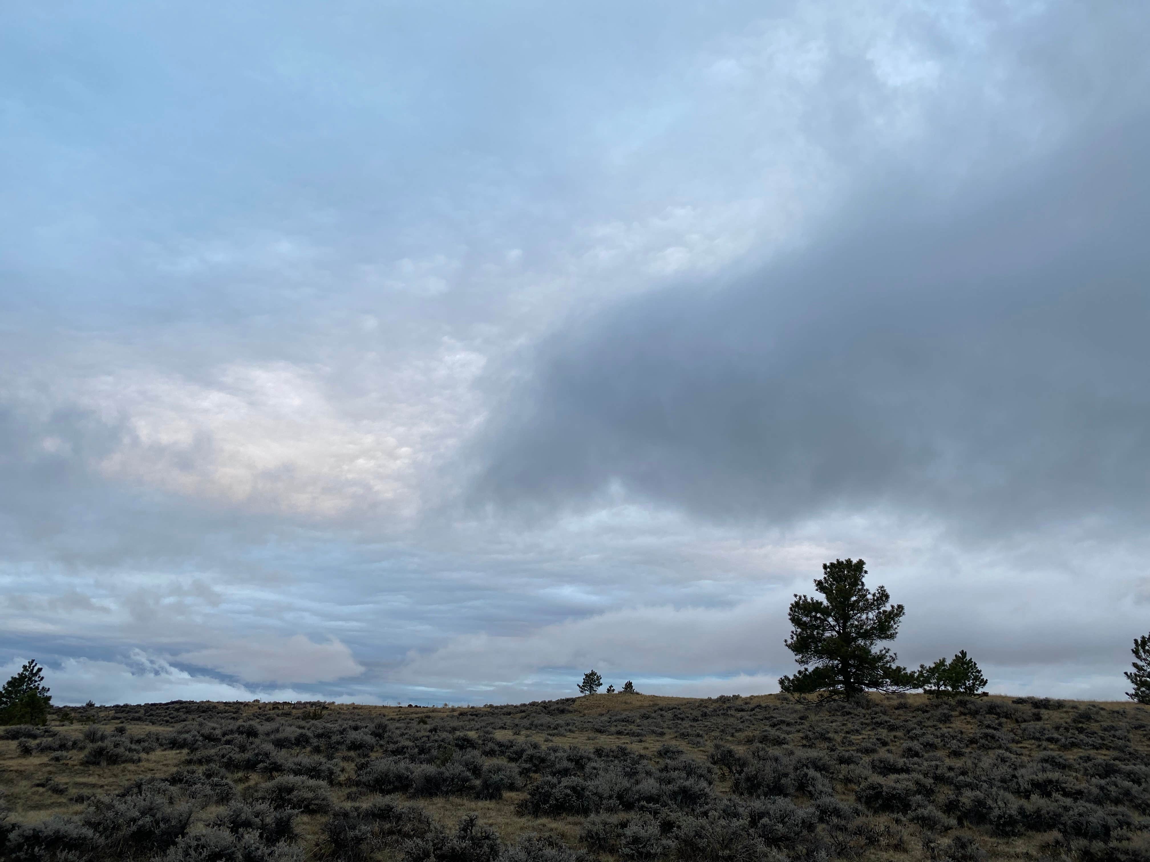 Jennifer's photo of a dispersed camping area at Acton Recreation Area near Pryor, MT