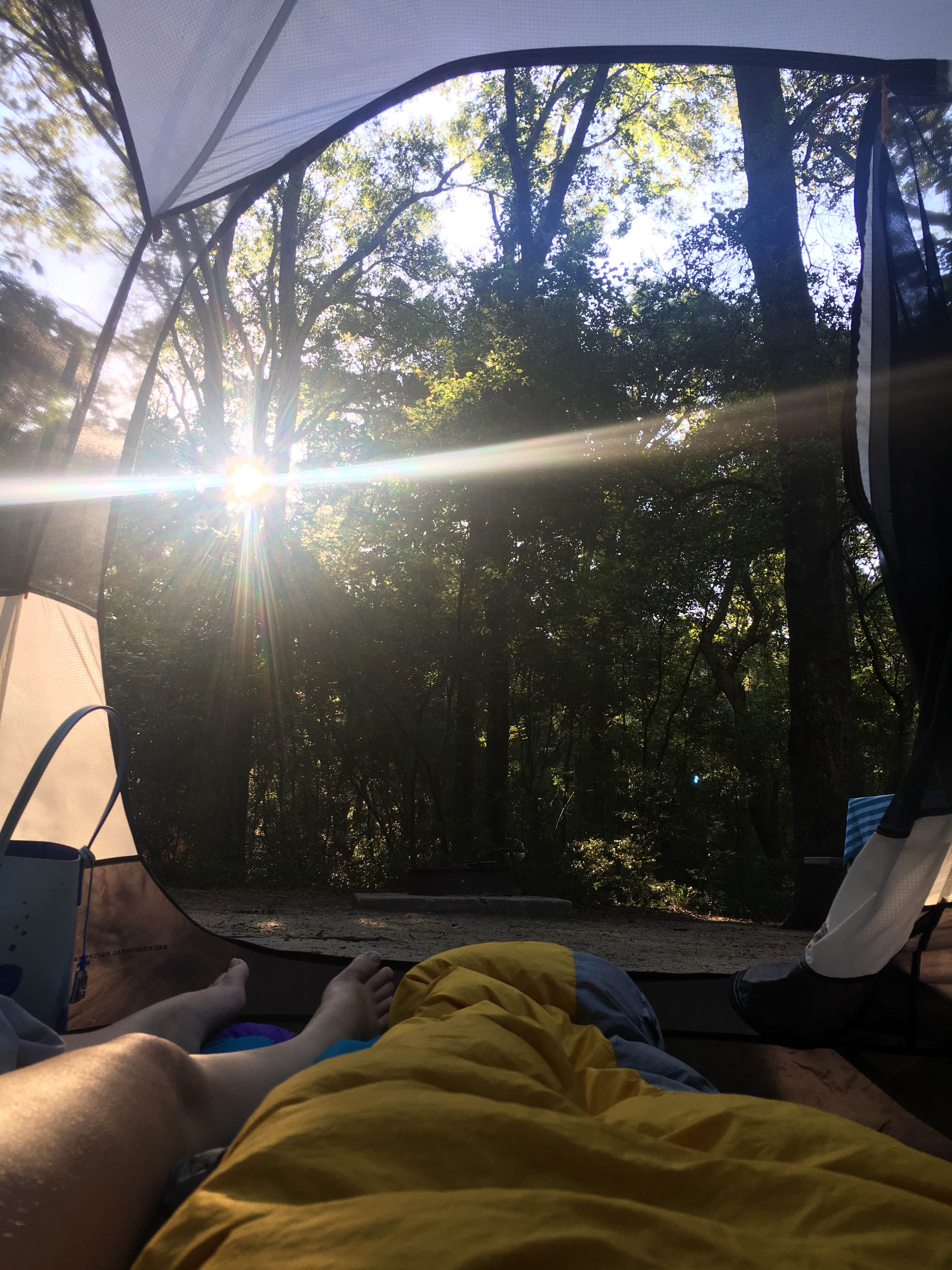 danielle H.'s photo at Carolina Beach State Park Campground near Oak Island, NC