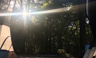 danielle H.'s photo at Carolina Beach State Park Campground near Castle Hayne, NC