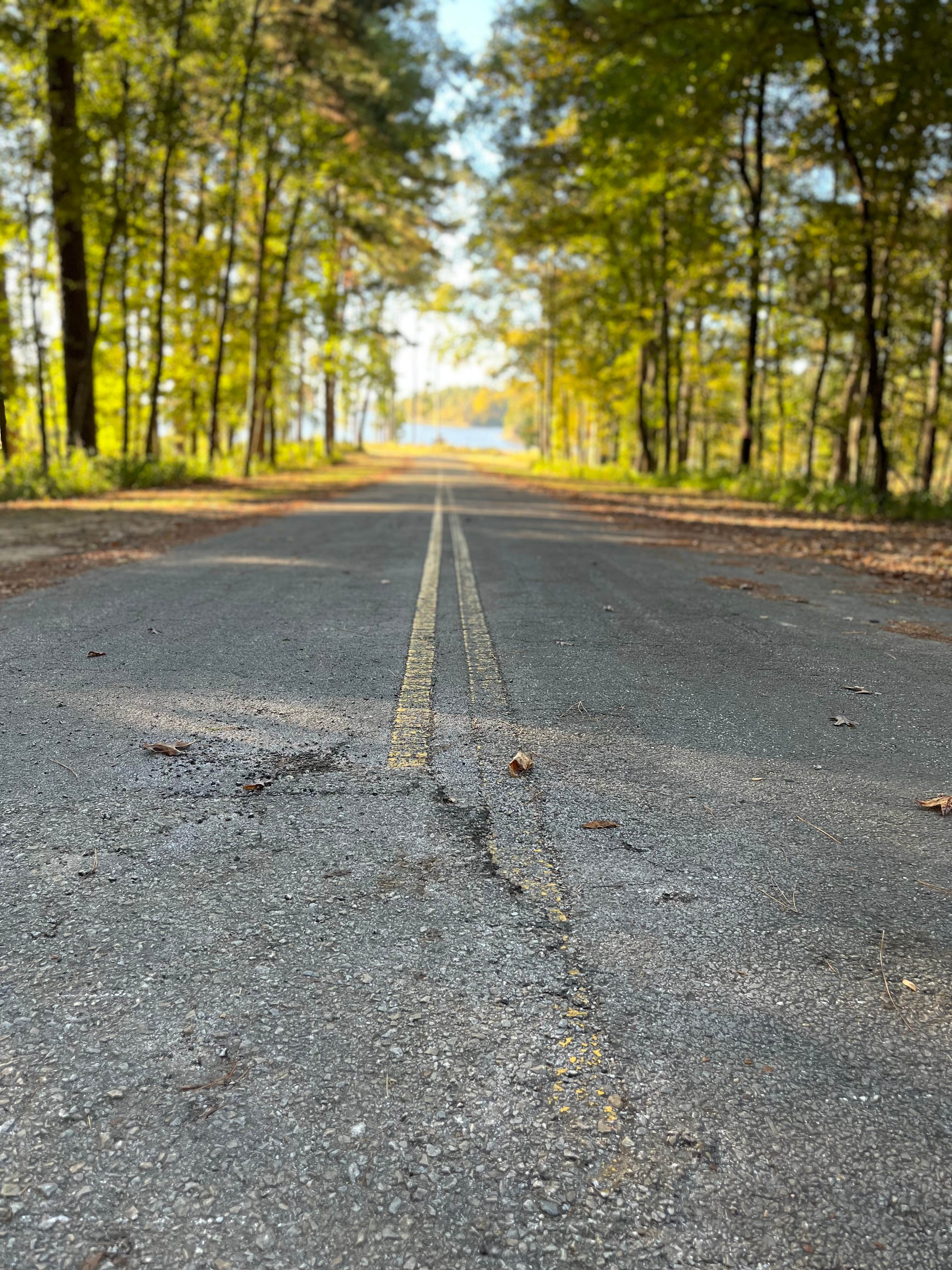 Camping near Sabine River RV Resort: Sabine National Forest Ragtown, Zwolle, Texas
