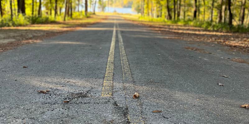 Camper submitted image from Sabine National Forest Ragtown