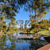 Review photo of Blue Hole Campground — Florida Caverns State Park by Ridethrough M., October 31, 2021