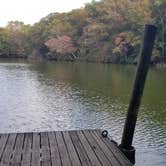 Review photo of Killens Pond State Park Campground by David D., October 31, 2021