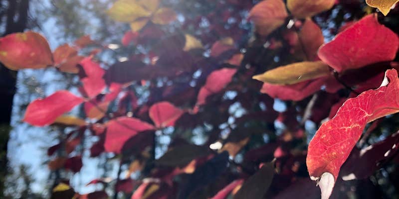 Camper submitted image from Three Links Camp