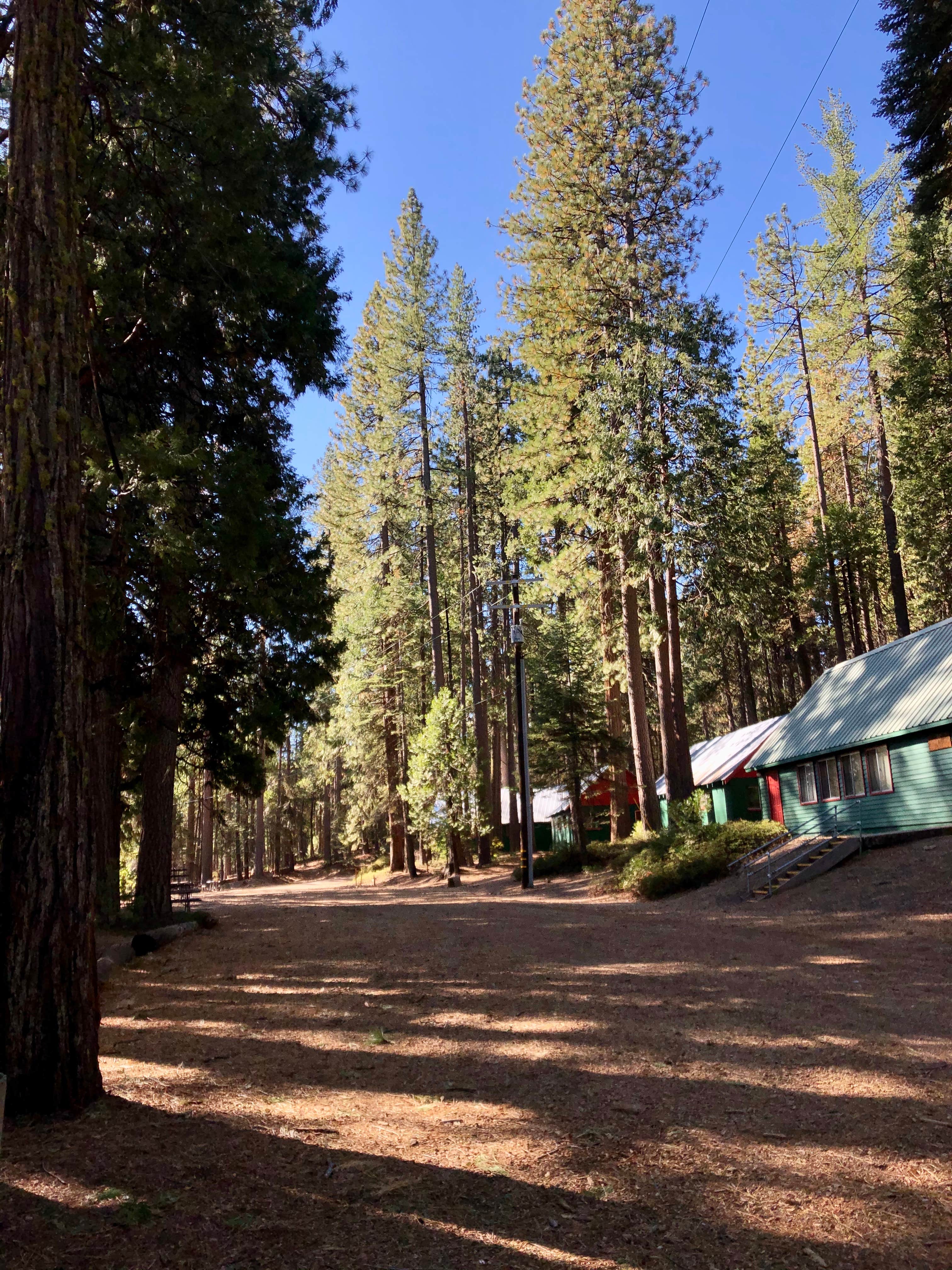 Camper-submitted photo at Three Links Camp near Cedar Ridge, CA