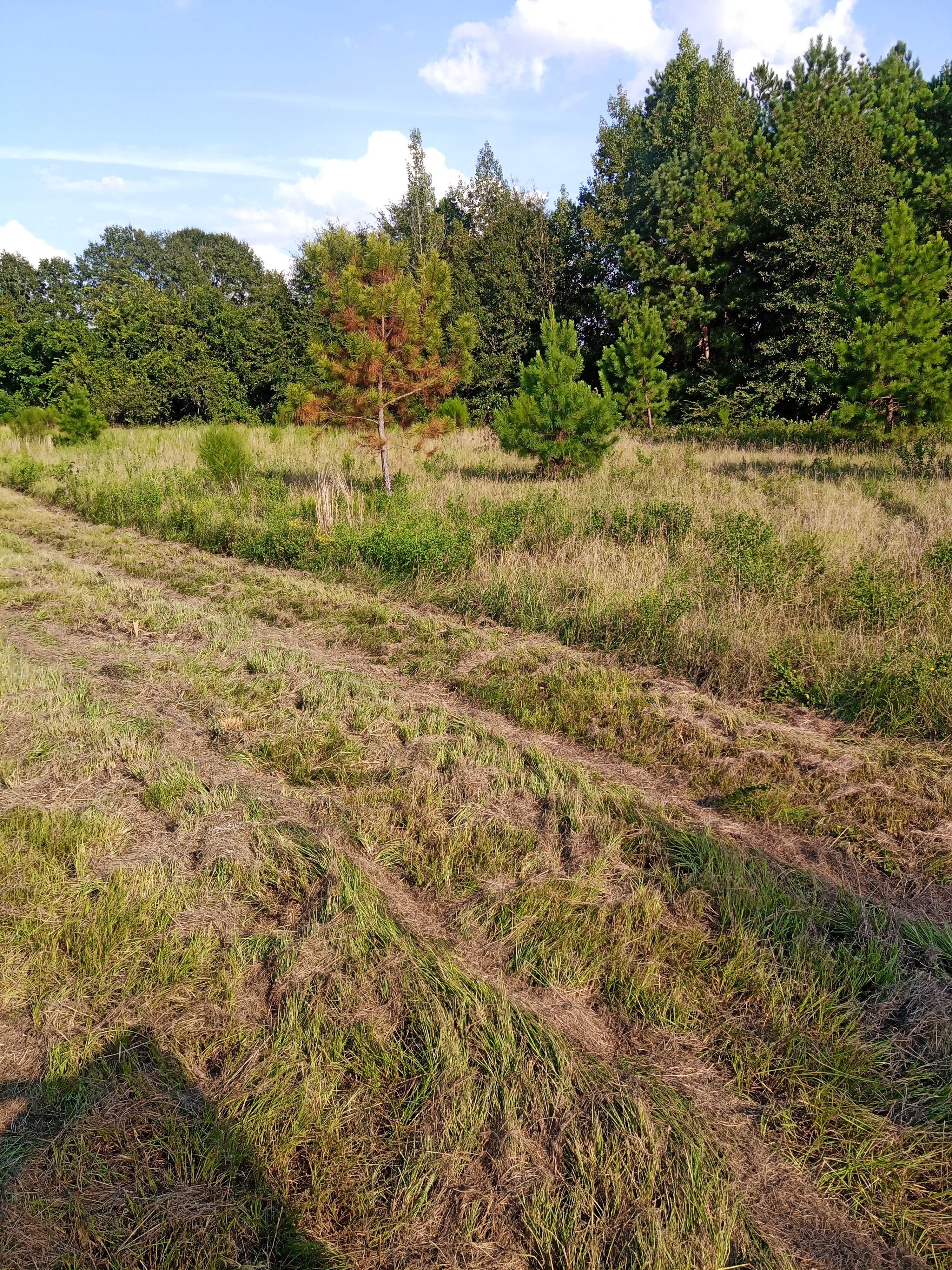 Camper-submitted photo at Browns RV Life near Perry, GA