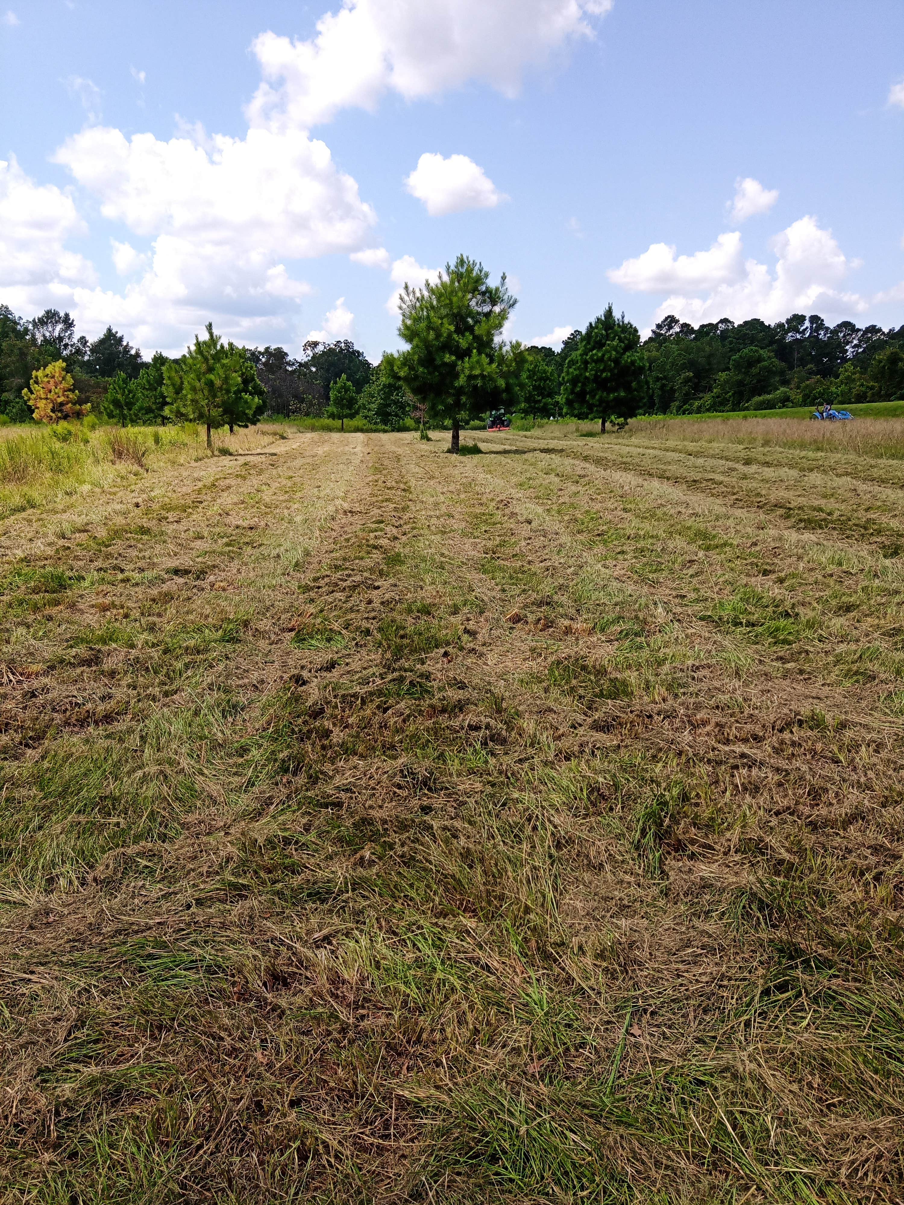 Camper-submitted photo at Browns RV Life near Perry, GA