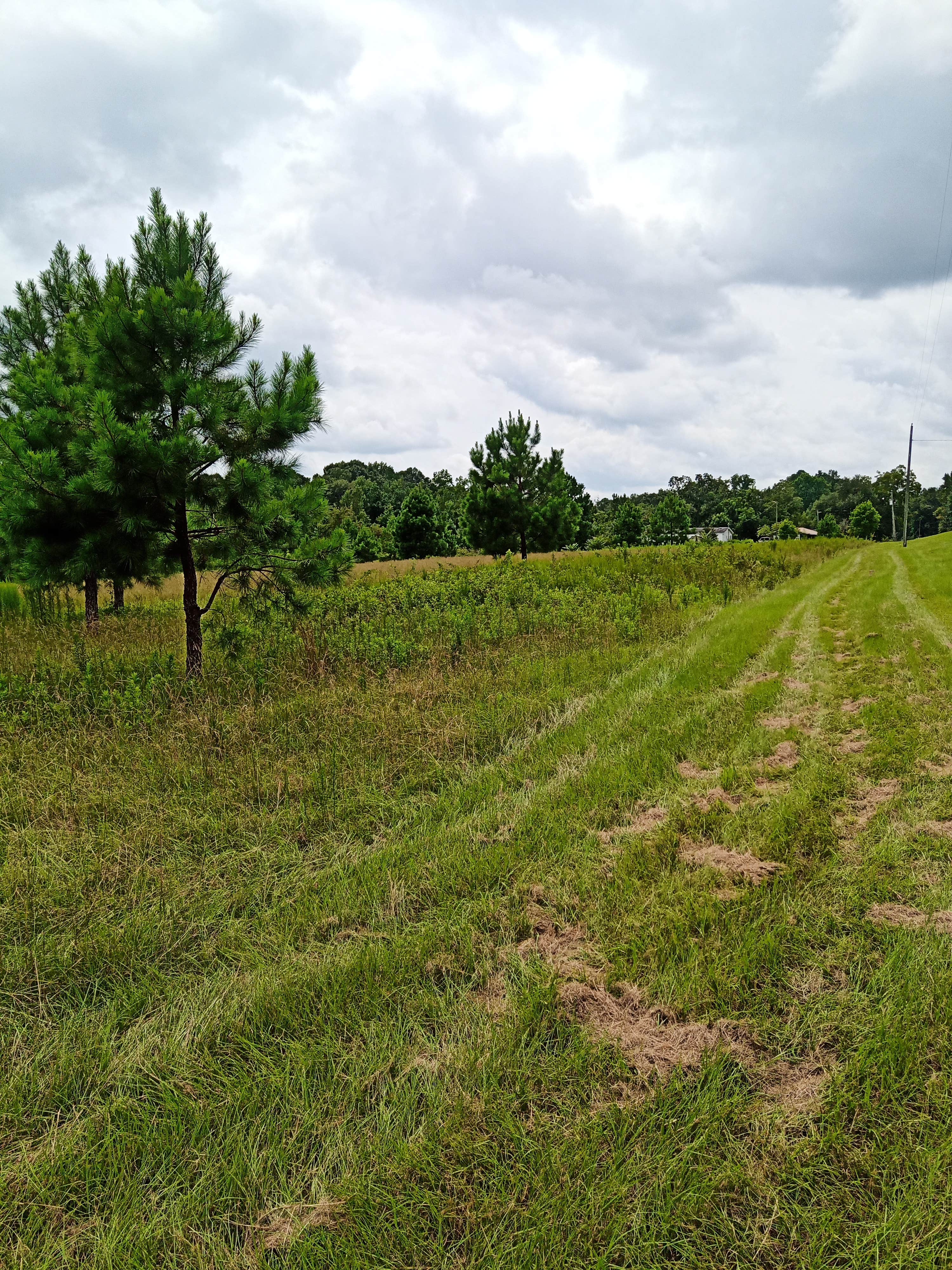 Camper-submitted photo at Browns RV Life near Perry, GA