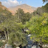 Review photo of South Fork Campground — Sequoia National Park by Amanda C., October 31, 2021