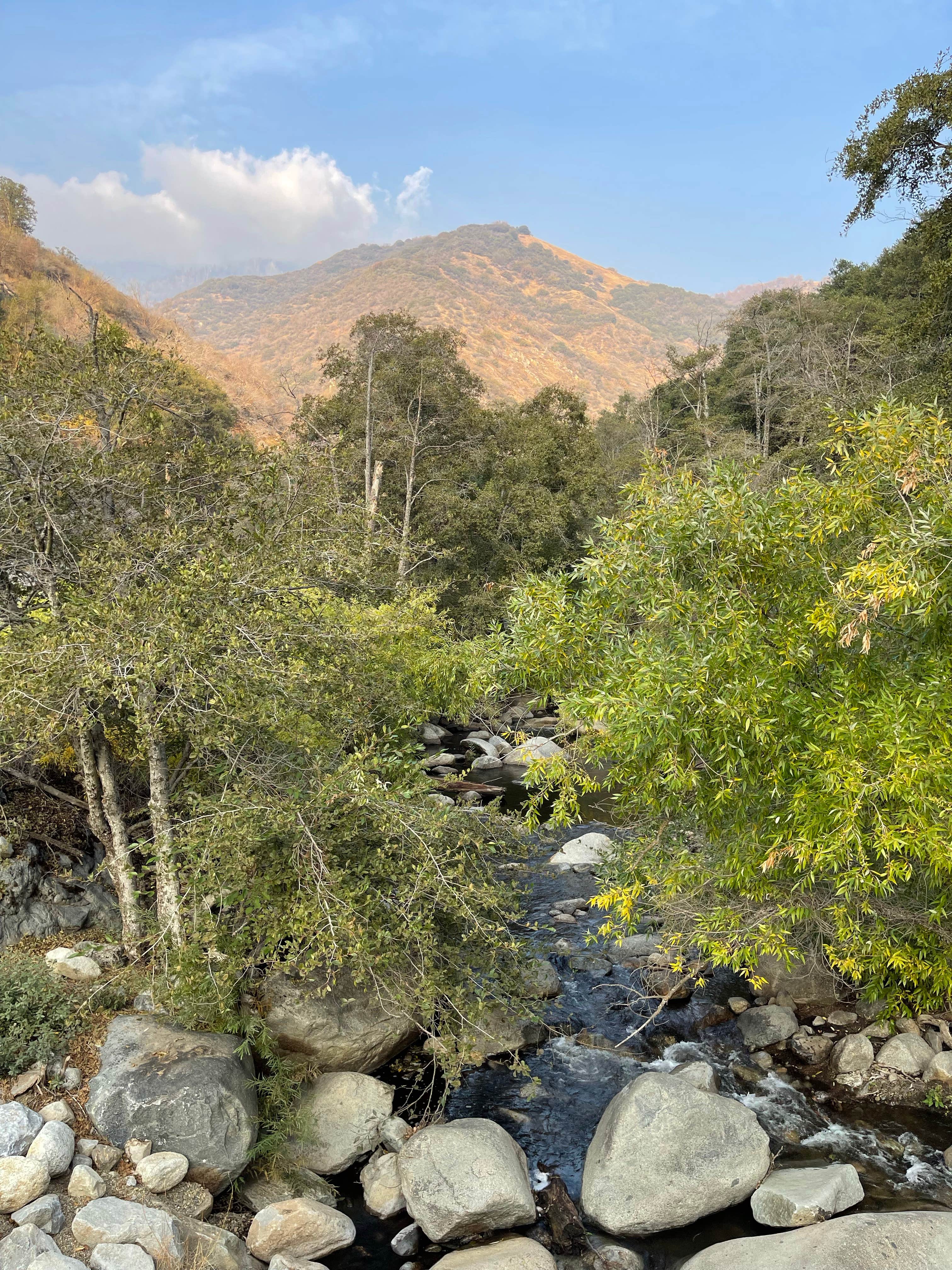 Camper submitted image from South Fork Campground — Sequoia National Park - 3