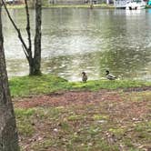 Review photo of Wilderness Presidential Resort by Dan & Karen  M., October 31, 2021