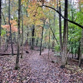 Review photo of Red Top Mountain State Park Campground by chrissy D., October 31, 2021