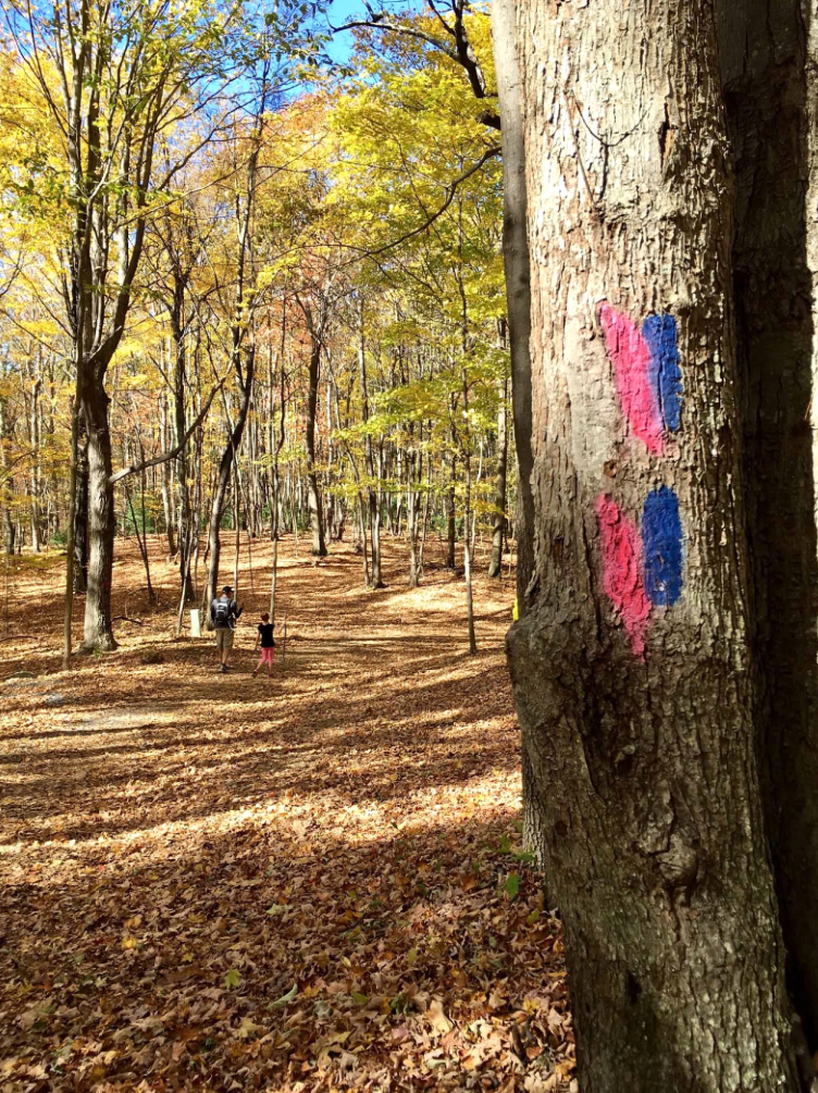 Spy hotsell rock camping