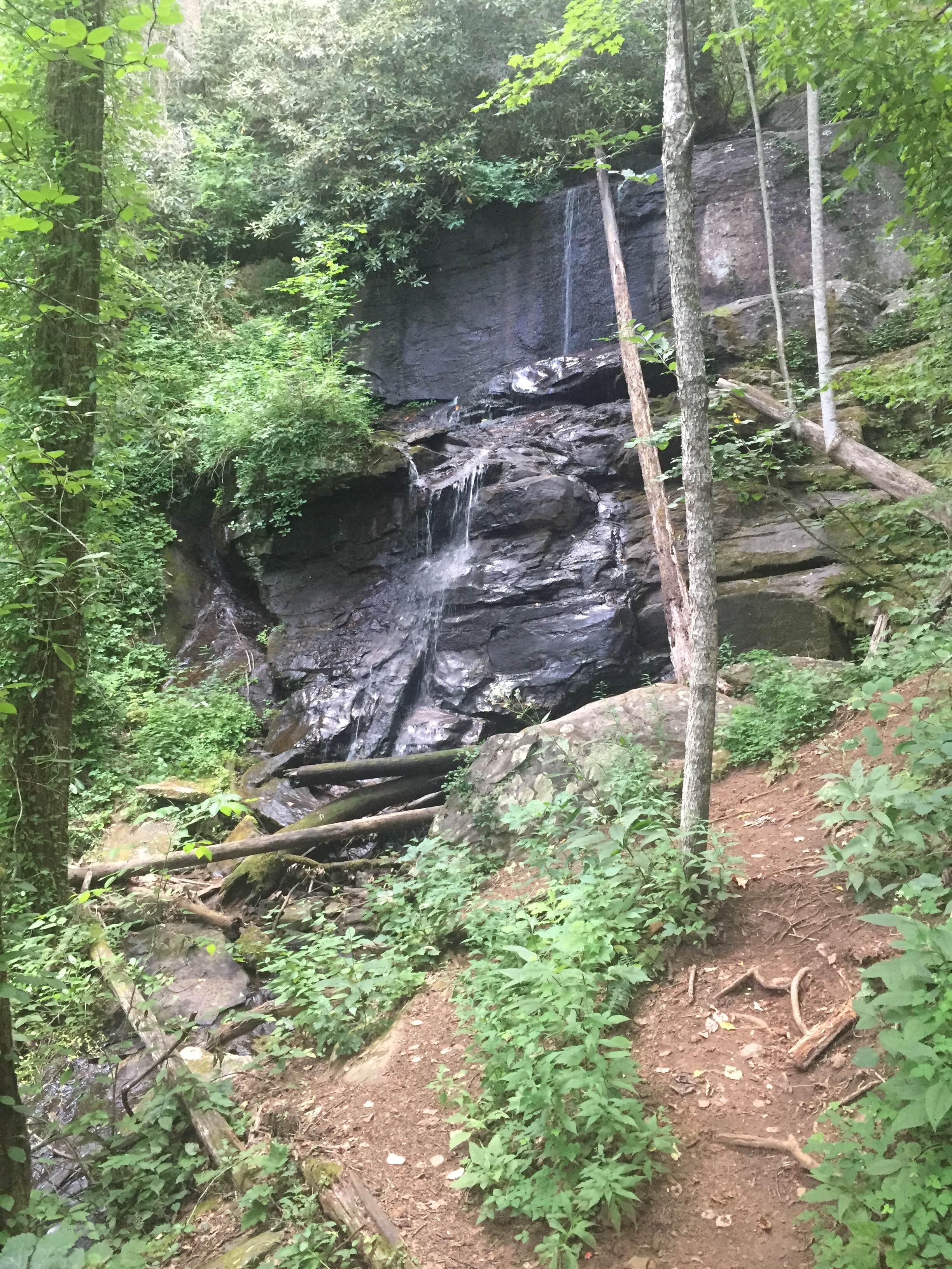 Camper submitted image from Desoto Falls - 3