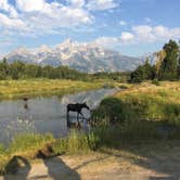 Review photo of Gros Ventre Campground — Grand Teton National Park by Diane N., July 6, 2018