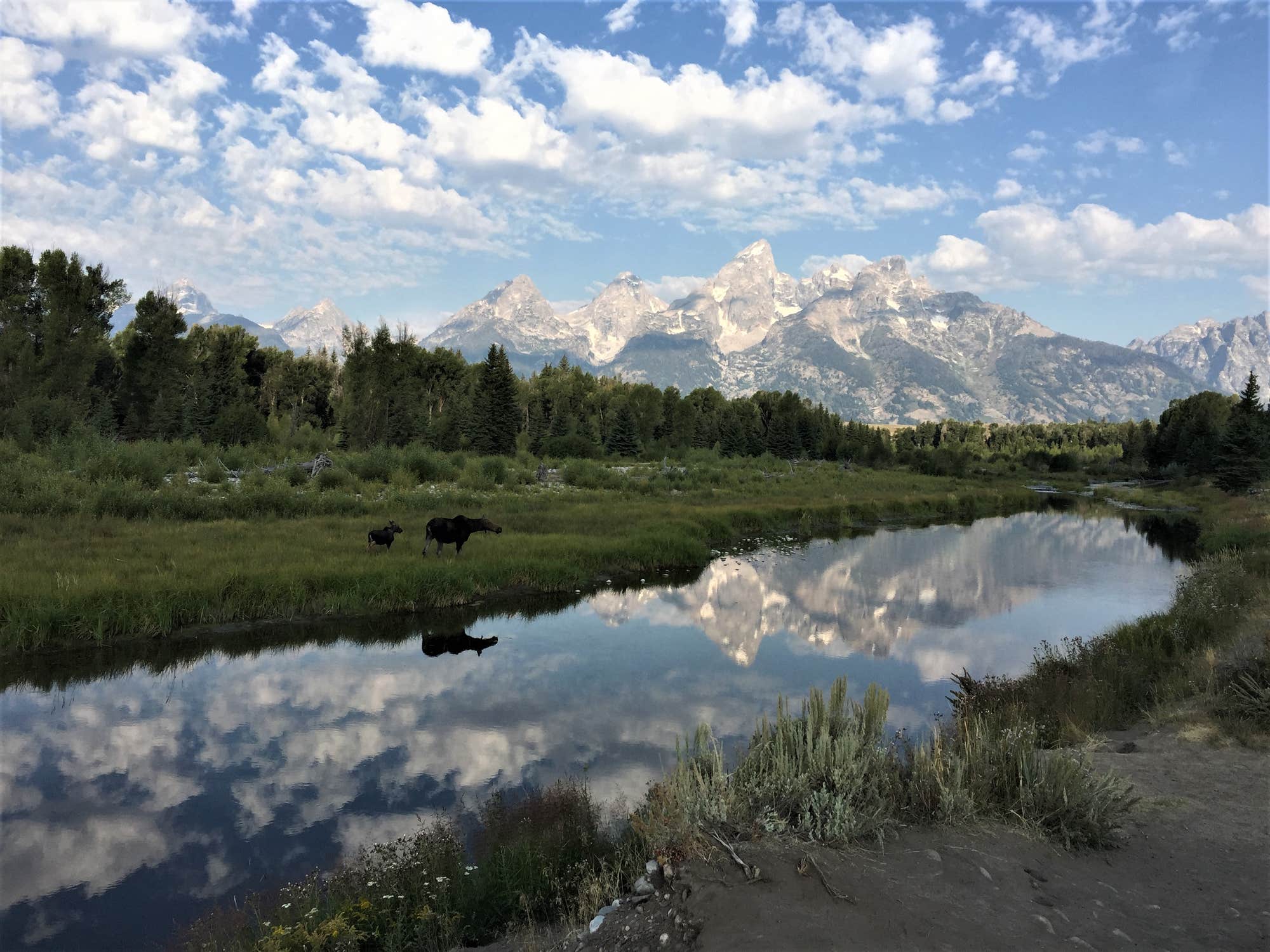 view of Schwabachers Landing when camping in grand teton