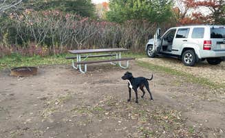 Dayton .'s photo of camping with pets at Willow River State Park Campground near Baldwin, WI
