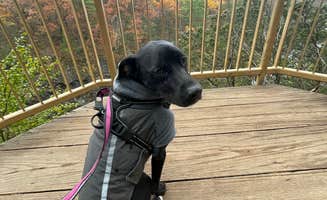 Dayton .'s photo of camping with pets at Willow River State Park Campground near Spring Valley, WI