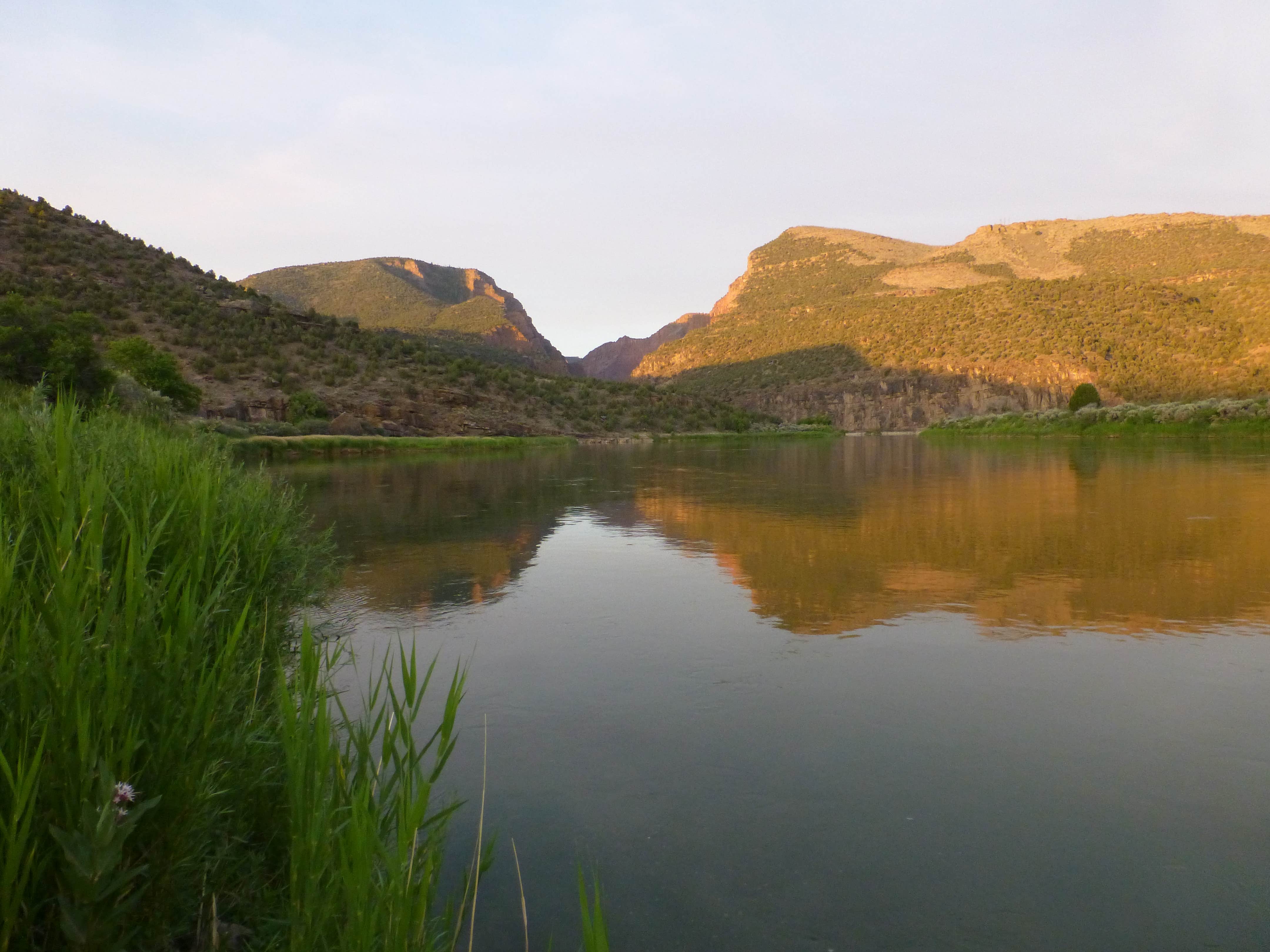 Camper submitted image from Gates Of Lodore Campground — Dinosaur National Monument - 5