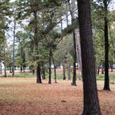 Review photo of Cottonshed Park (AR) COE by N I., October 31, 2021