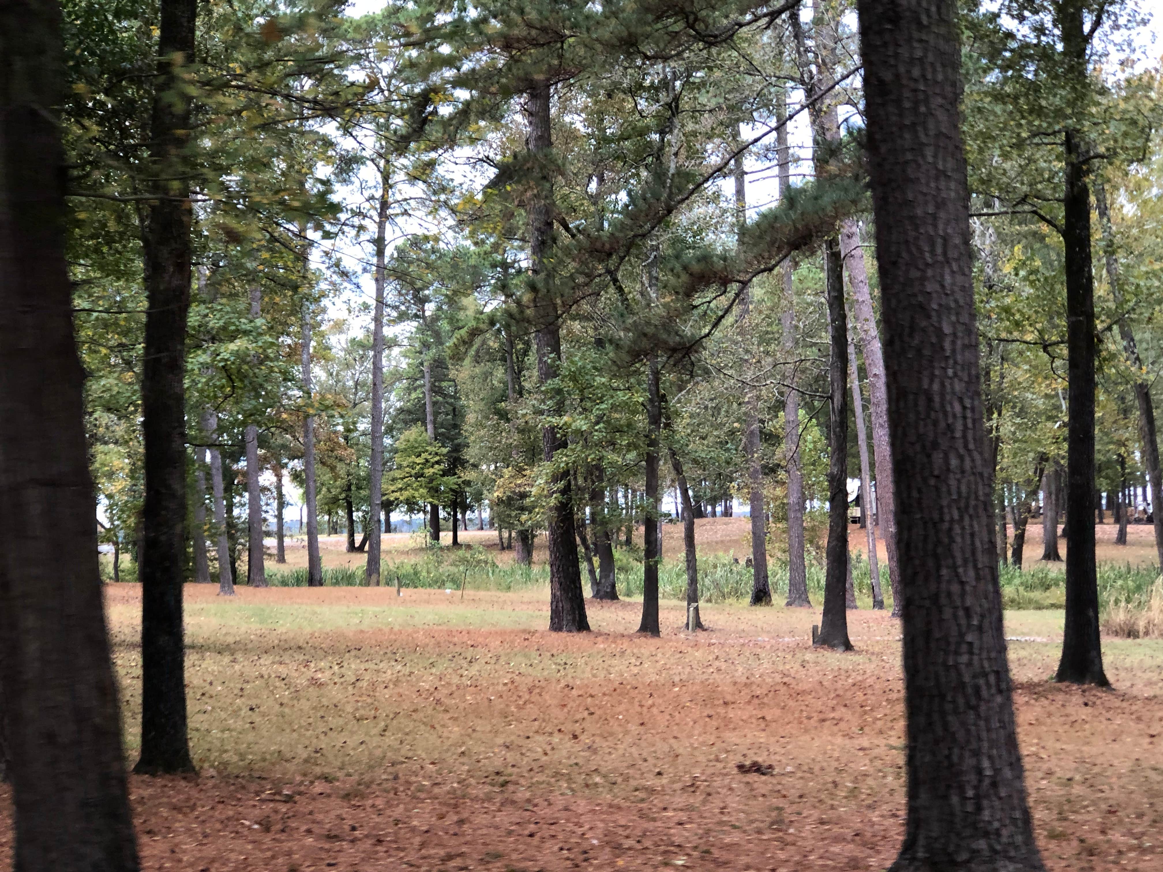 Camper submitted image from Cottonshed Park (AR) COE - 4