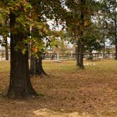 Review photo of Cottonshed Park (AR) COE by N I., October 31, 2021