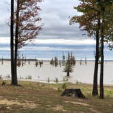 Review photo of Cottonshed Park (AR) COE by N I., October 31, 2021