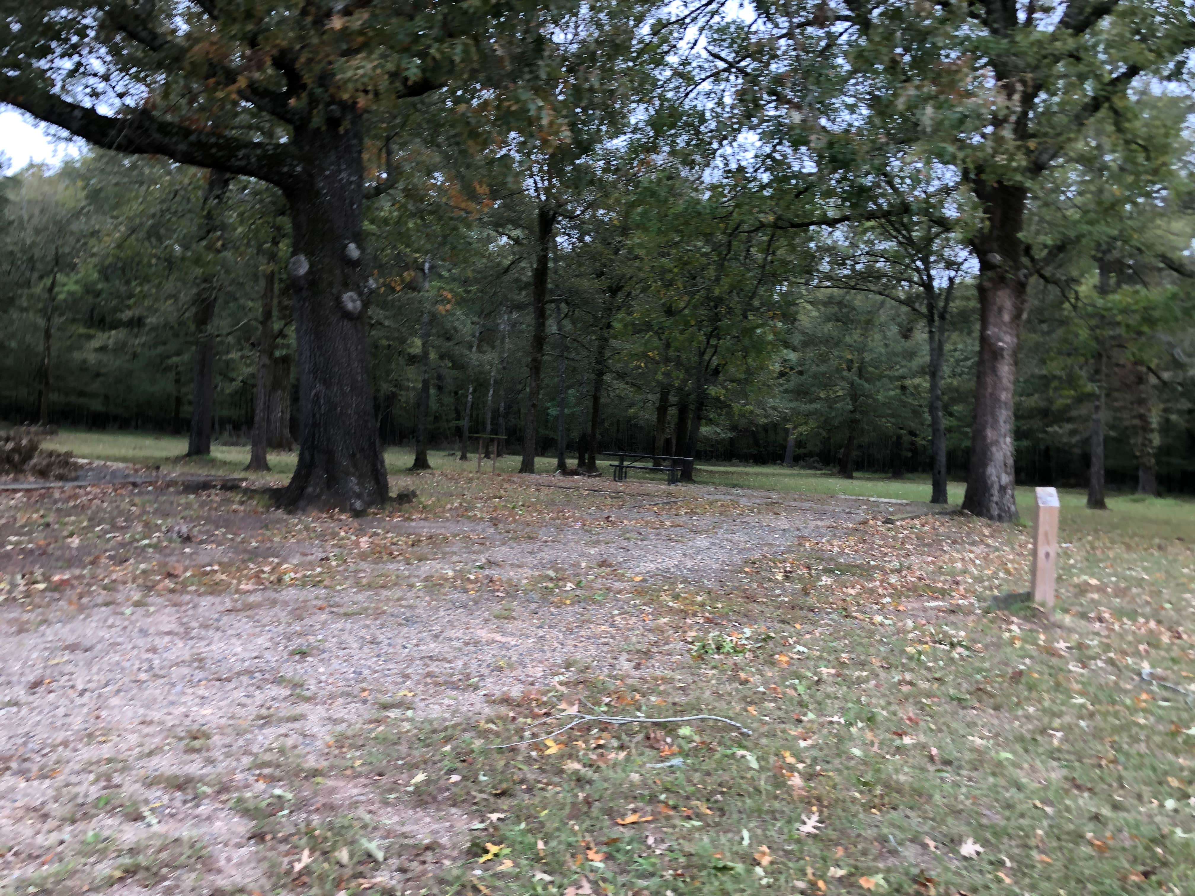 Camper-submitted photo at River Run West near New Boston, TX