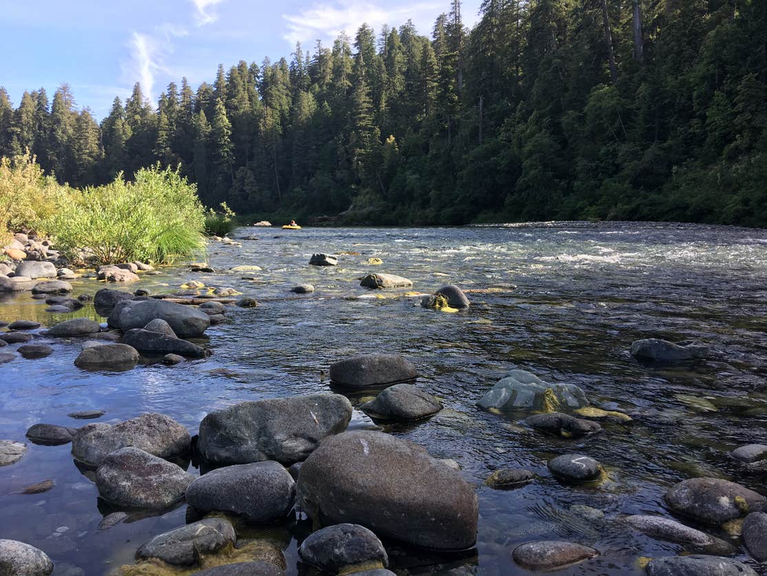 Jedediah Smith Campground | The Dyrt