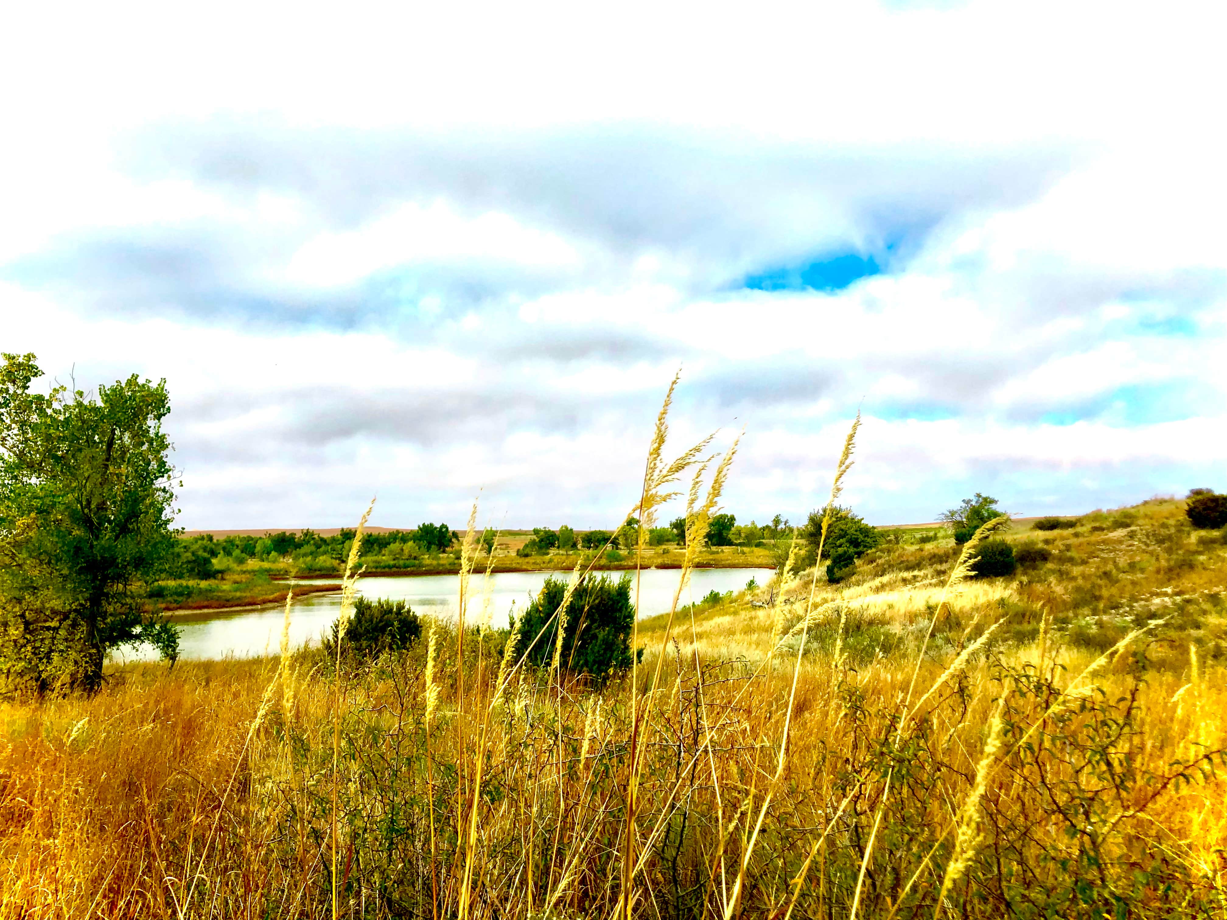Camper-submitted photo at East Bluff #1 Campground near McClellan Creek National Grassland