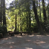 Review photo of Jedidiah Smith Campground — Redwood National Park by Celina M., July 6, 2018