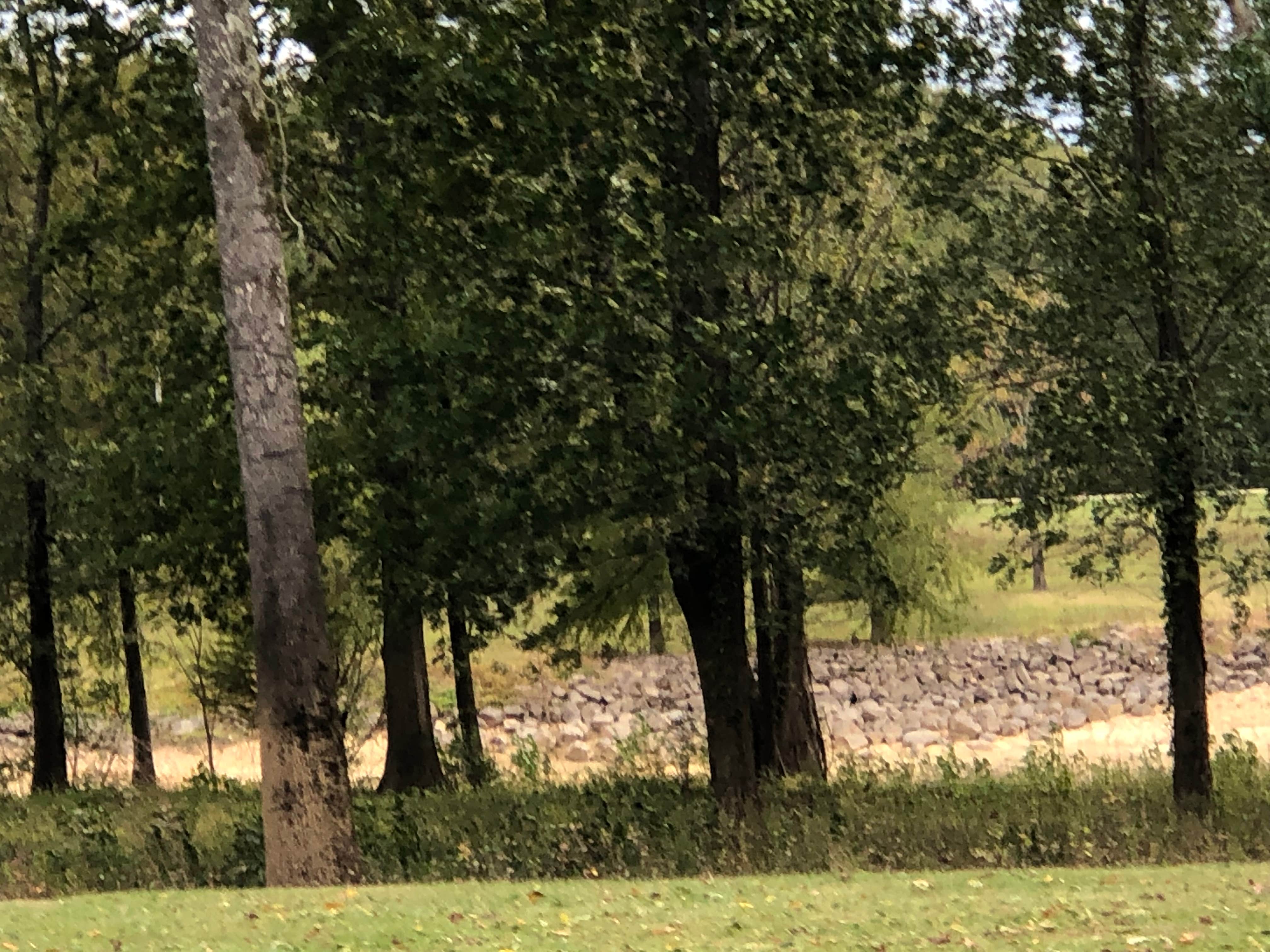 Camper-submitted photo at River Run East near New Boston, TX