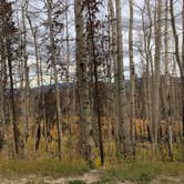 Review photo of Stillwater Pass Dispersed Campsite by N I., October 28, 2021