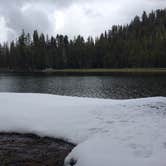 Review photo of Hodgdon Meadow Campground — Yosemite National Park by DEREK B., June 9, 2015