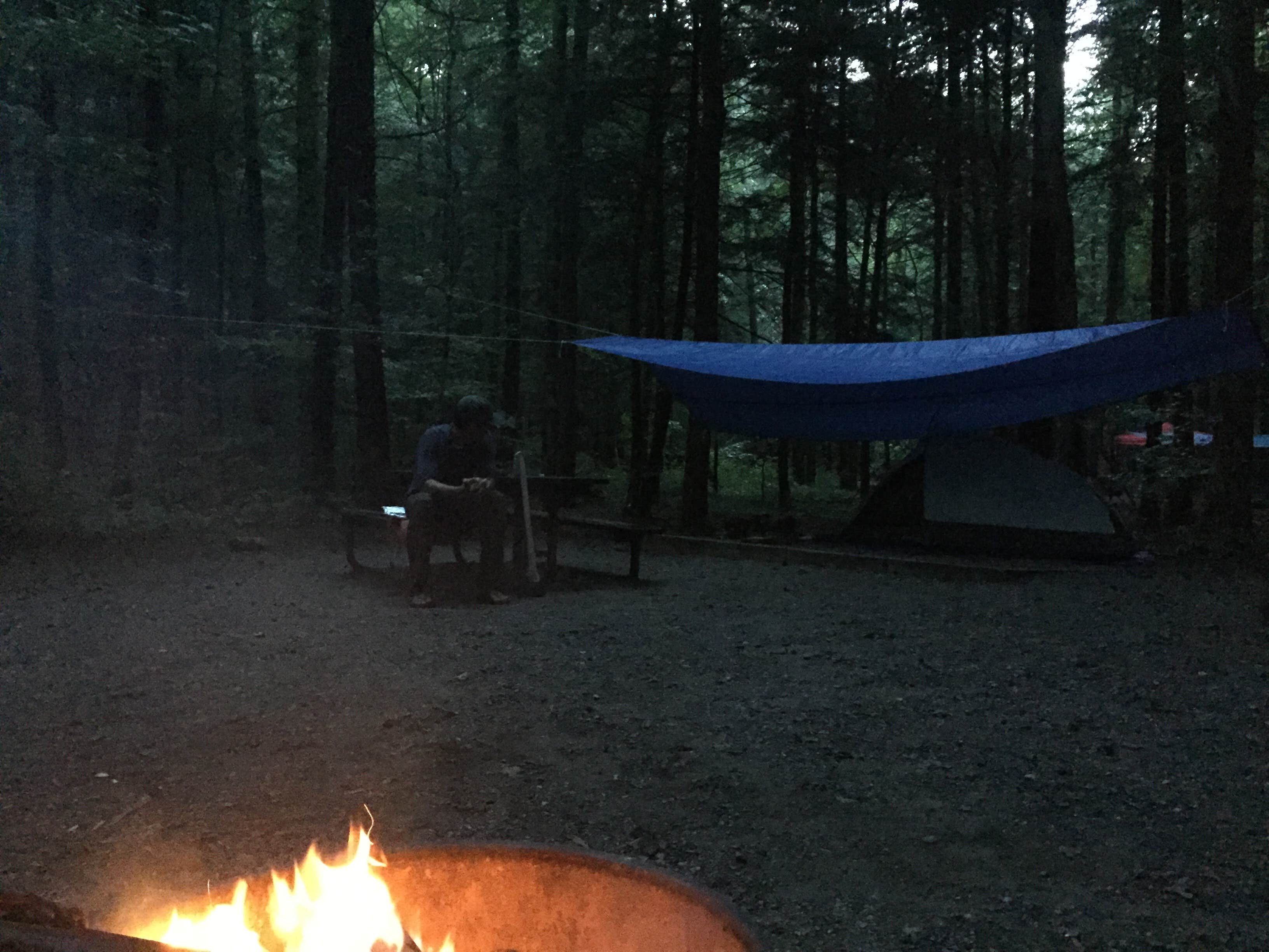 Camper submitted image from Desoto Falls - 3